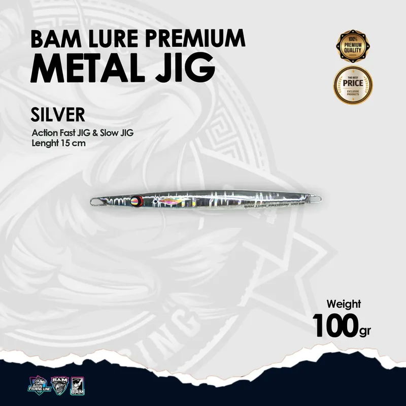 BAM Lure Premium Metal Jig · 100 gr Silver