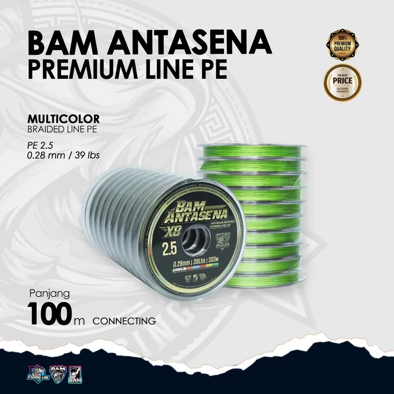 BAM Antasena Premium Line PE Connecting 100m · 1000m · 0,28 mm /39 lbs PE 2,5