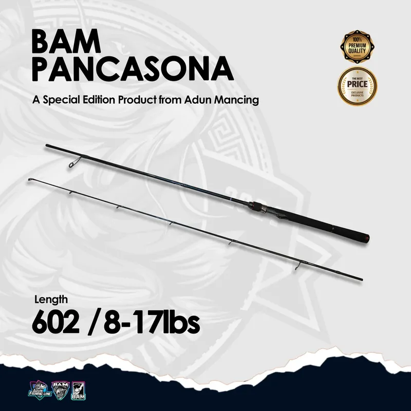 Joran BAM Pancasona 602 Special Edition, 8 s/d 17 lbs