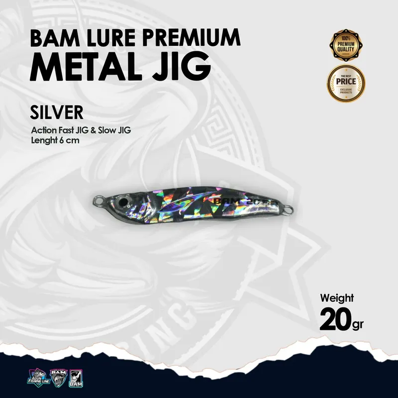 BAM Lure Premium Metal Jig · 20 gr Silver