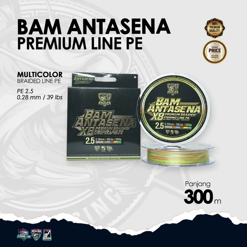 BAM Antasena Premium Line PE 300m · 0,28 mm /39 lbs PE 2,5