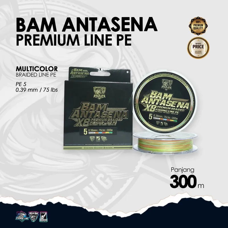 BAM Antasena Premium Line PE 300m · 0,39 mm / 75 lbs PE 5