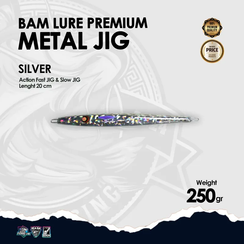 BAM Lure Premium Metal Jig · 250 gr Silver