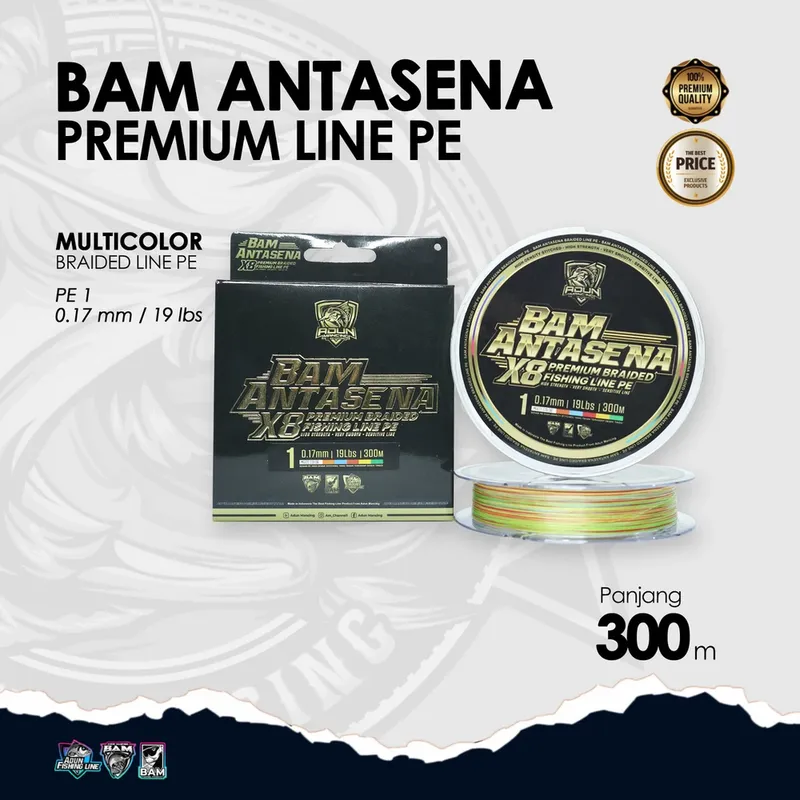 BAM Antasena Premium Line PE 300m · 0,17 mm / 19 lbs PE 1