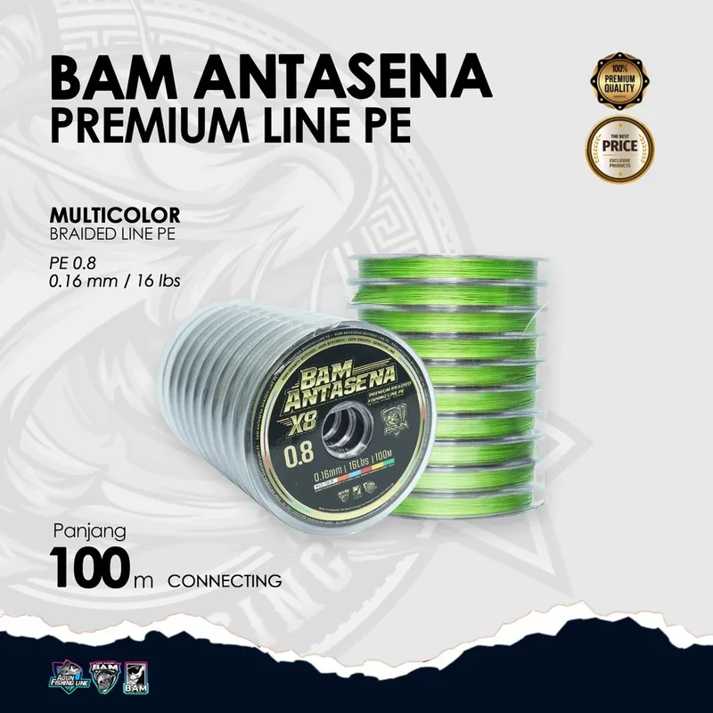BAM Antasena Premium Line PE Connecting 100m · 1000m · 0,16 mm / 1 lbs PE 0,8