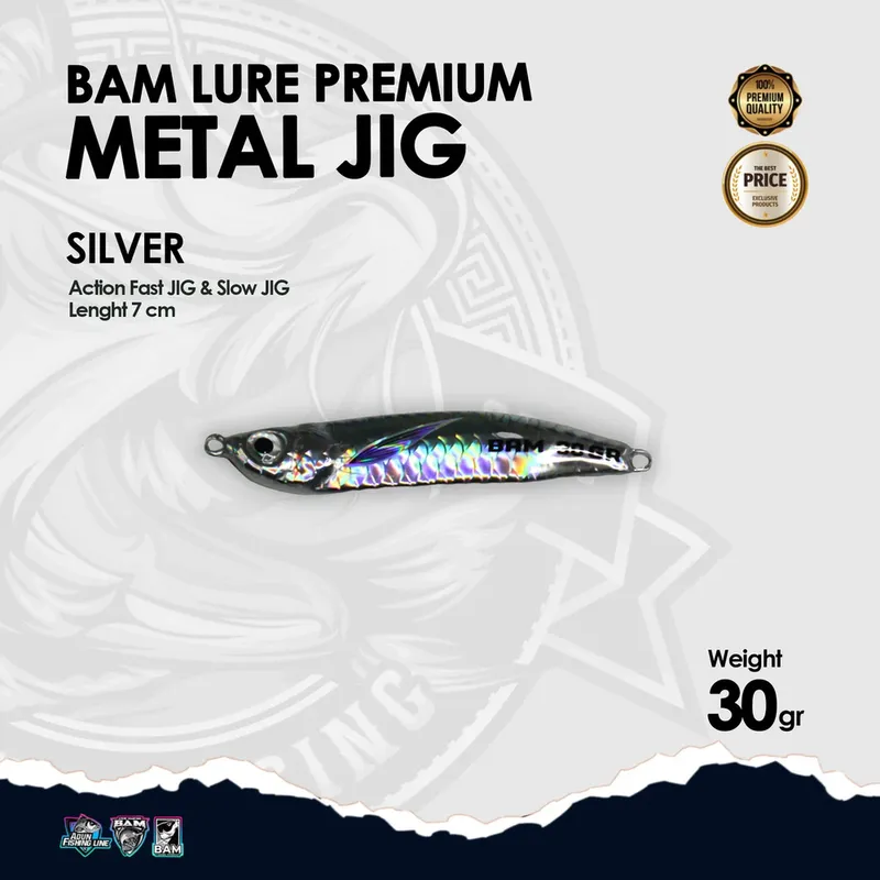 BAM Lure Premium Metal Jig · 30 gr Silver