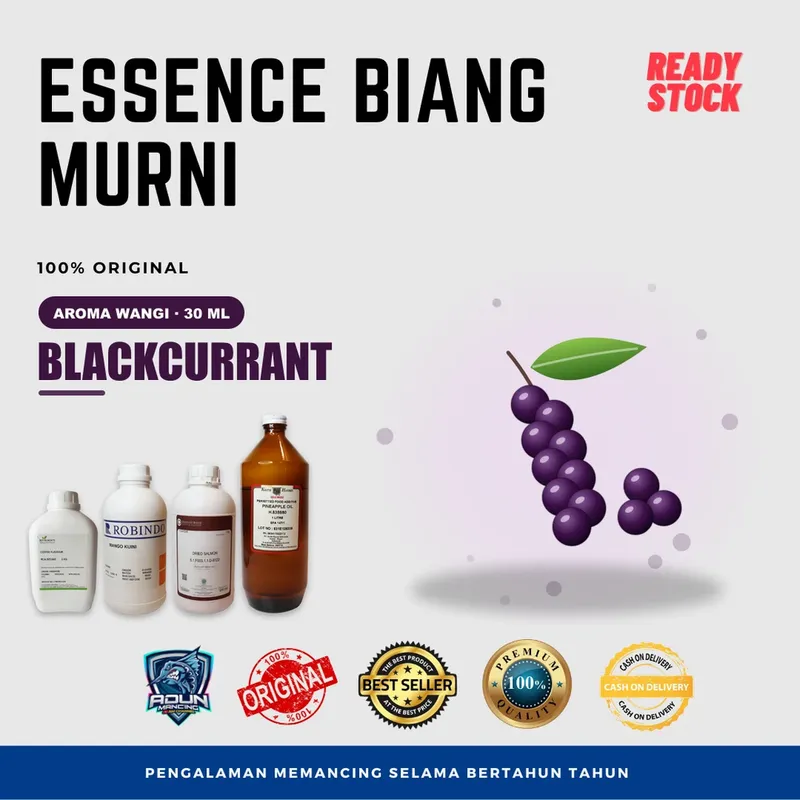 Essen Biang Murni Aroma Wangi 30 ml · Blackcurrant