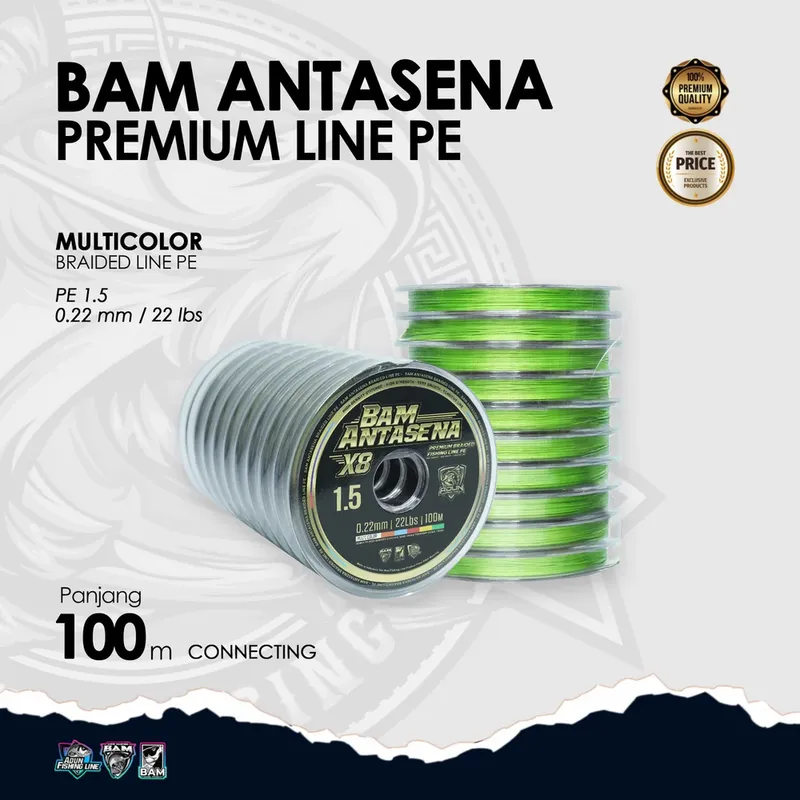 BAM Antasena Premium Line PE Connecting 100m · 1000m · 0,22 mm /22 lbs PE 1,5