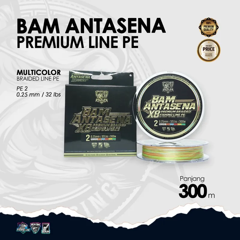 BAM Antasena Premium Line PE 300m · 0,25 mm / 32 lbs PE 2
