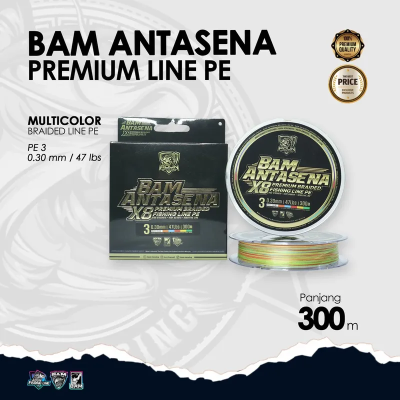 BAM Antasena Premium Line PE 300m · 0,30 mm / 47 lbs PE 3